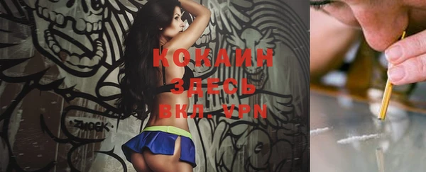 крисы Кодинск